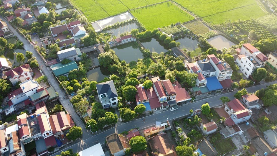 Biểu đồ tăng trưởng thị trường nhà thông minh
